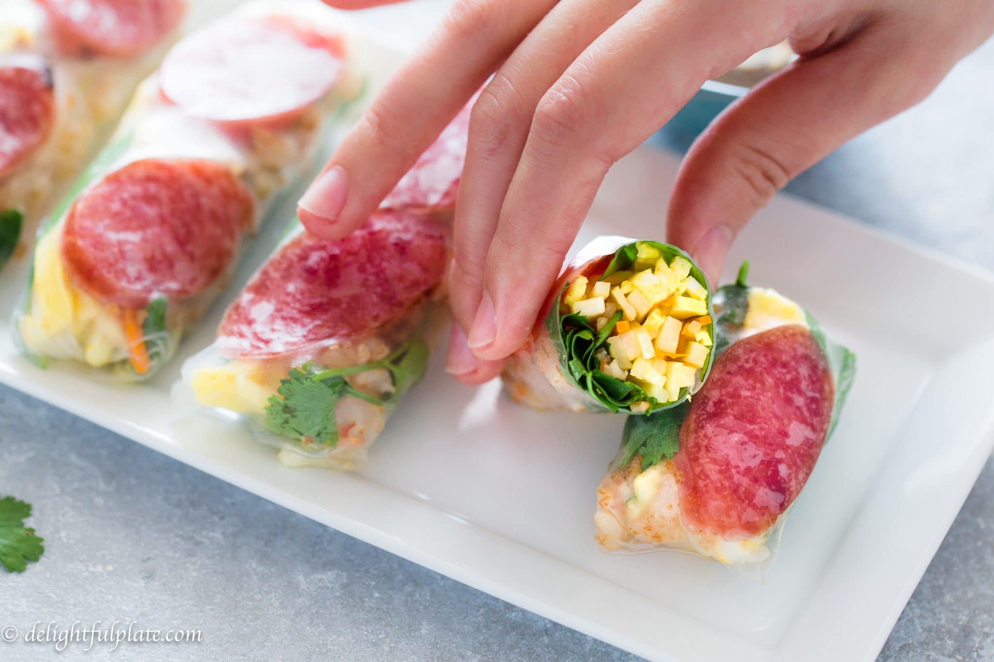 Vietnamese Fresh Spring Rolls with Jicama and Egg (Bo Bia) Delightful Plate