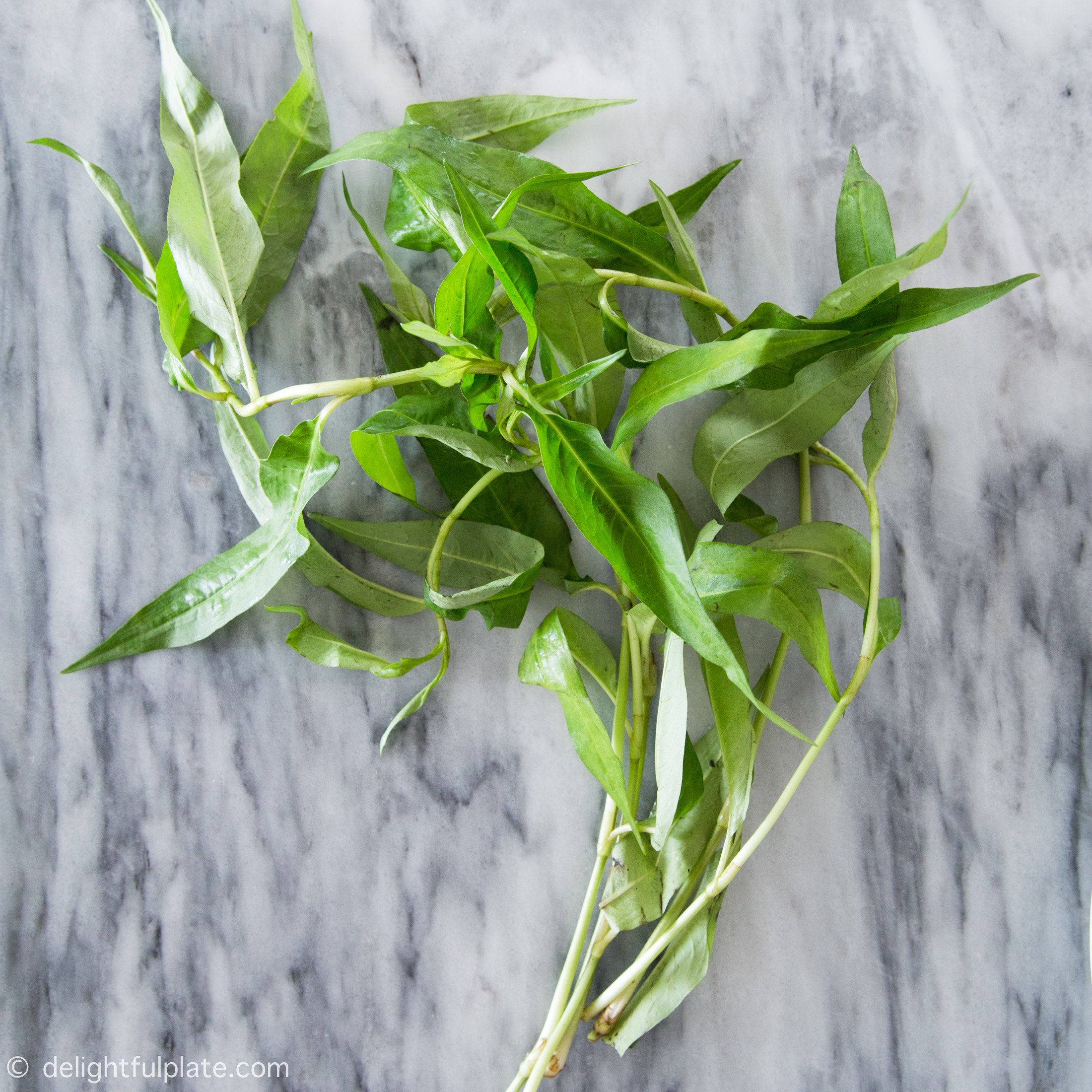 Vietnamese coriander (Rau ram)