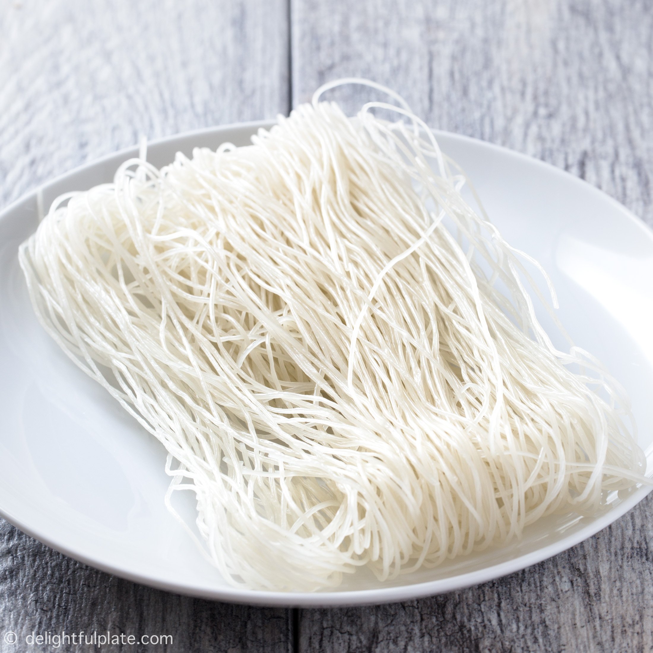 Vermicelli Rice Noodles Brands