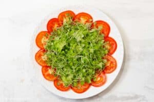 a plate with tomato slices and chopped lettuce, micro greens.