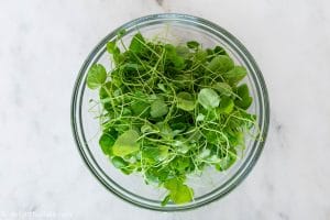 Baby cress mixed with rice vinegar and sugar for Vietnamese shaking beef (Bo Luc Lac)