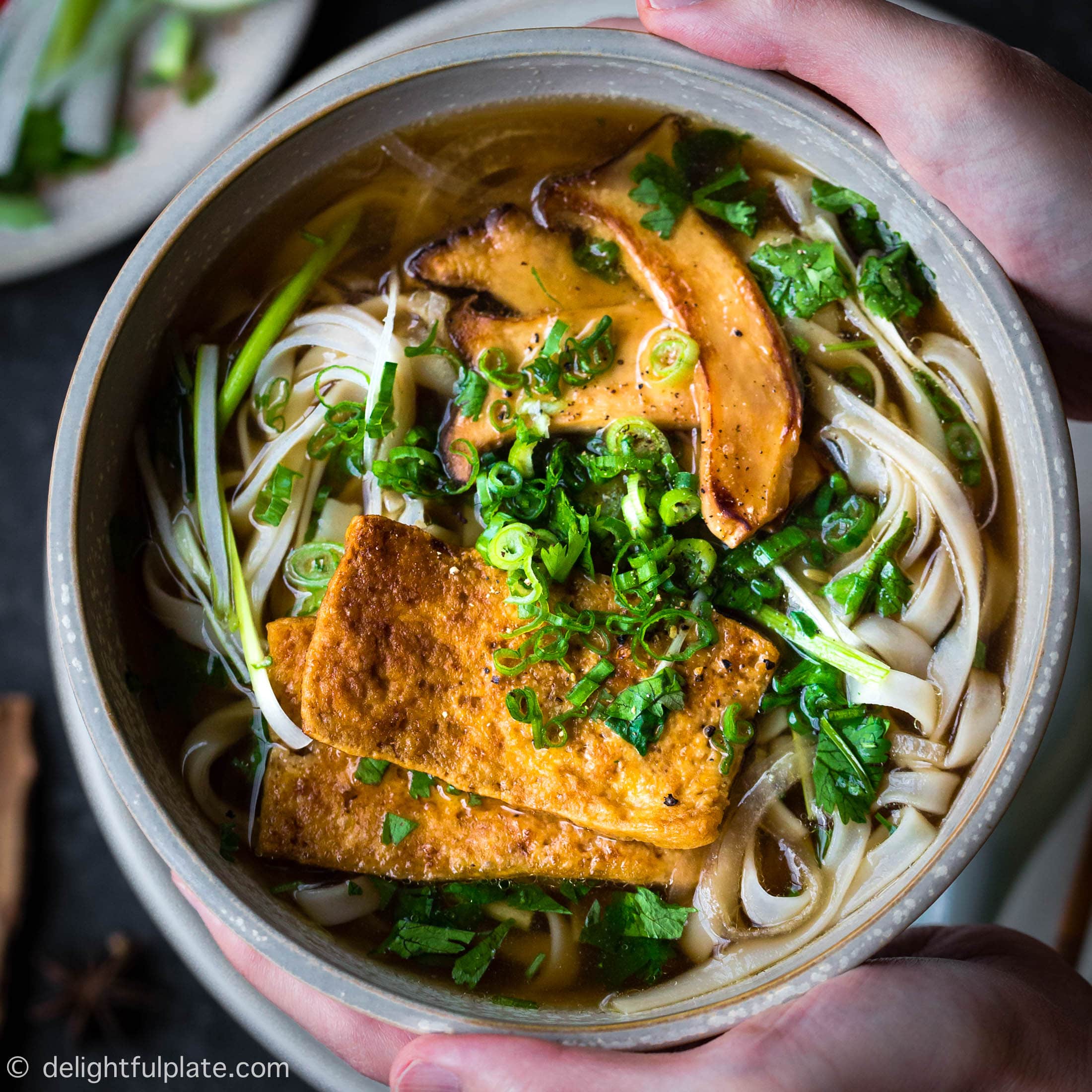 Vietnamese Vegan Pho Noodle Soup Pho Chay Delightful Plate