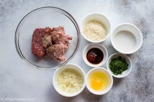 Ingredientes para o Bife Japonês de Hamburgo (Hambagu)