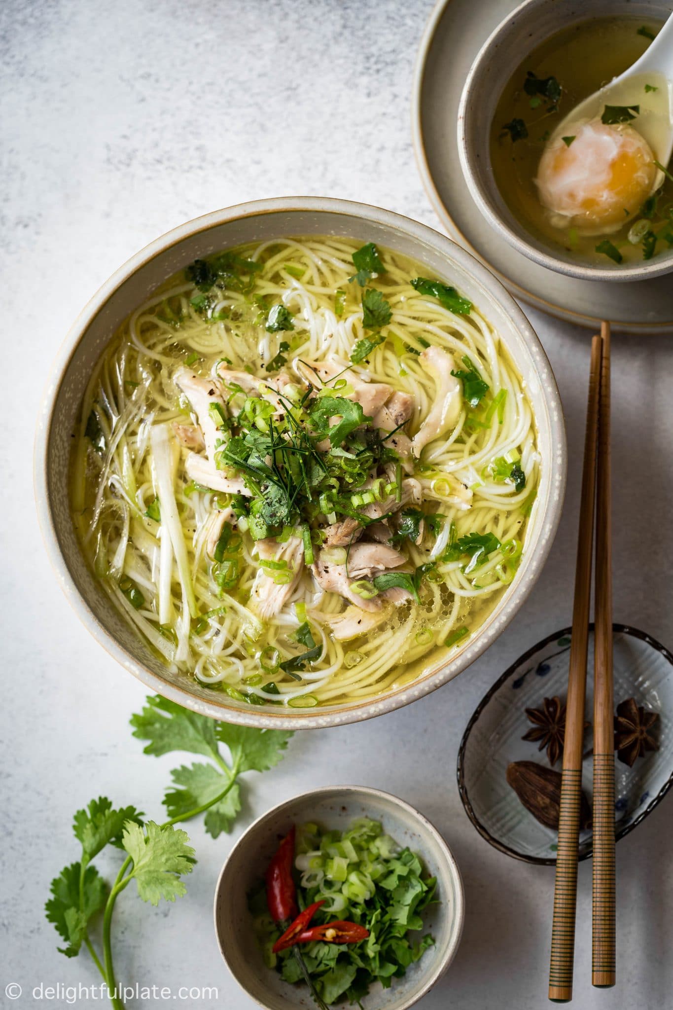 Vietnamese Chicken Vermicelli Noodle Soup (Bun Ga) - Delightful Plate