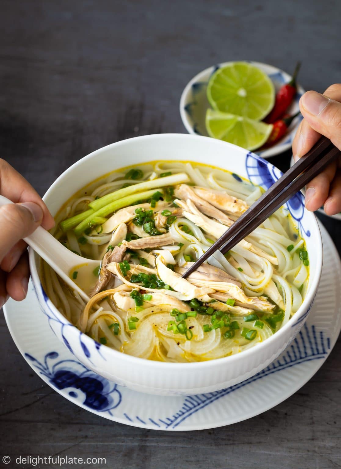 Authentic Pho Ga (Vietnamese Chicken Noodle Soup) - Delightful Plate