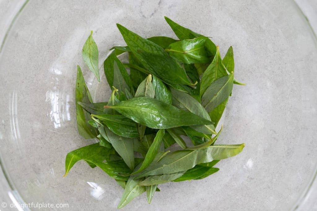 Vietnamese coriander leaves