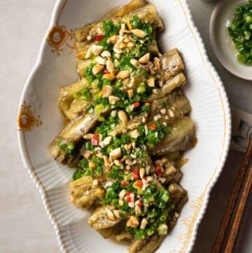 cropped-Vietnamese-Grilled-Eggplant-with-Scallion-Oil-Ca-tim-nuong-mo-hanh.jpg