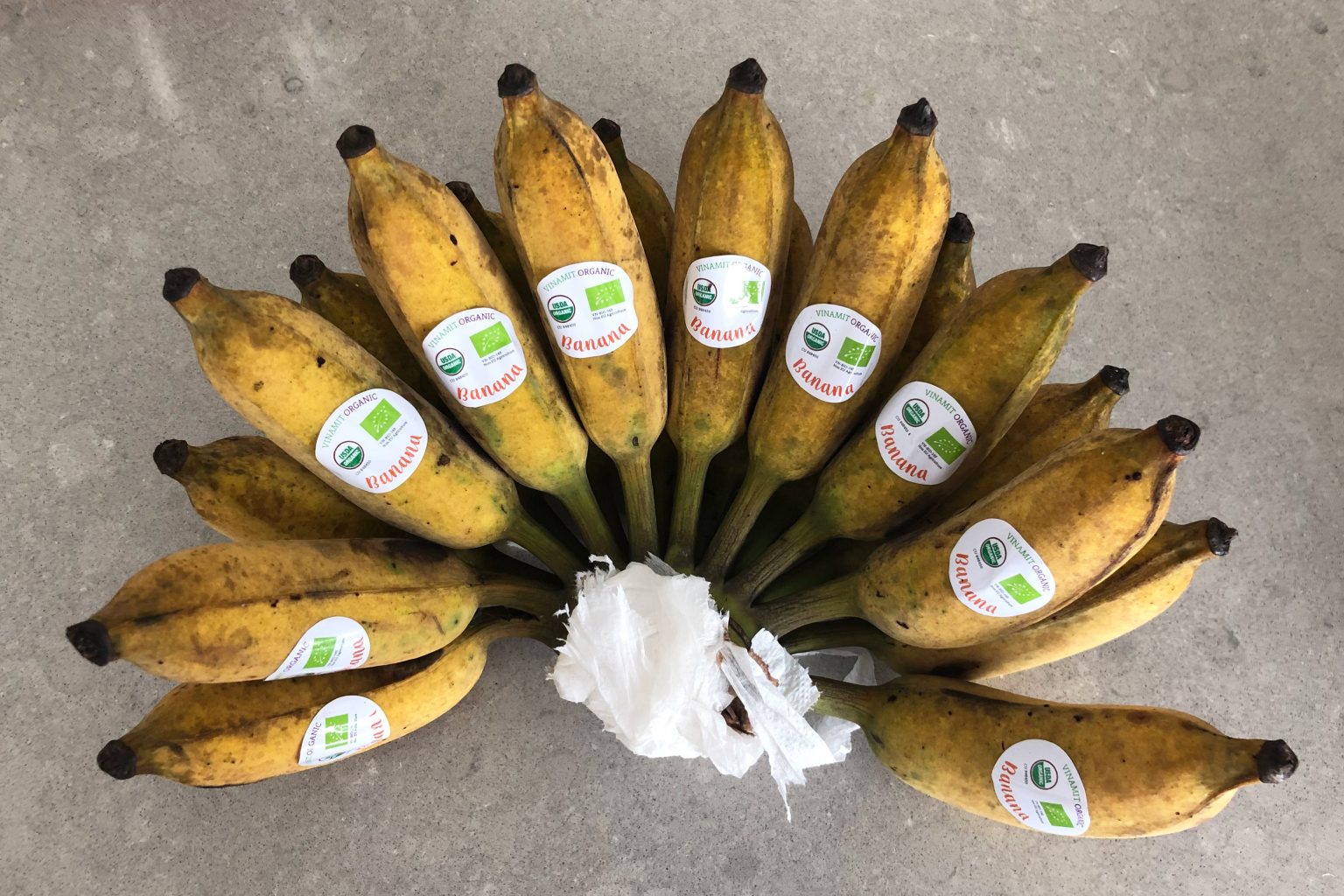 Vietnamese Grilled Banana Sticky Rice (Chuoi Nep Nuong) Delightful Plate