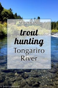 Trout Hunting in Tongariro River and Tips for Fishing in New Zealand