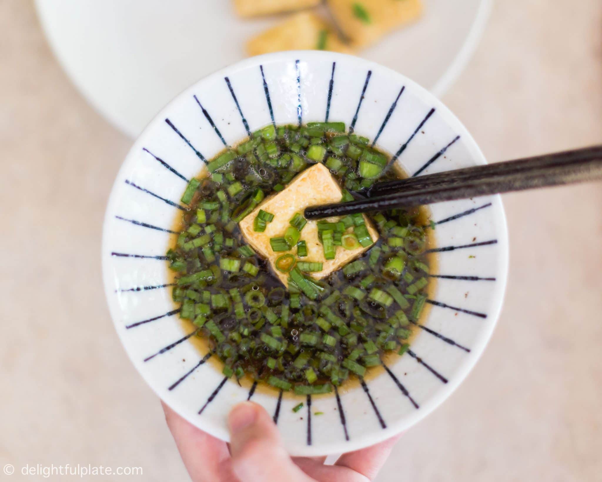 Making-Vietnamese-Fried-Tofu-with-Scallions-2048x1639.jpg