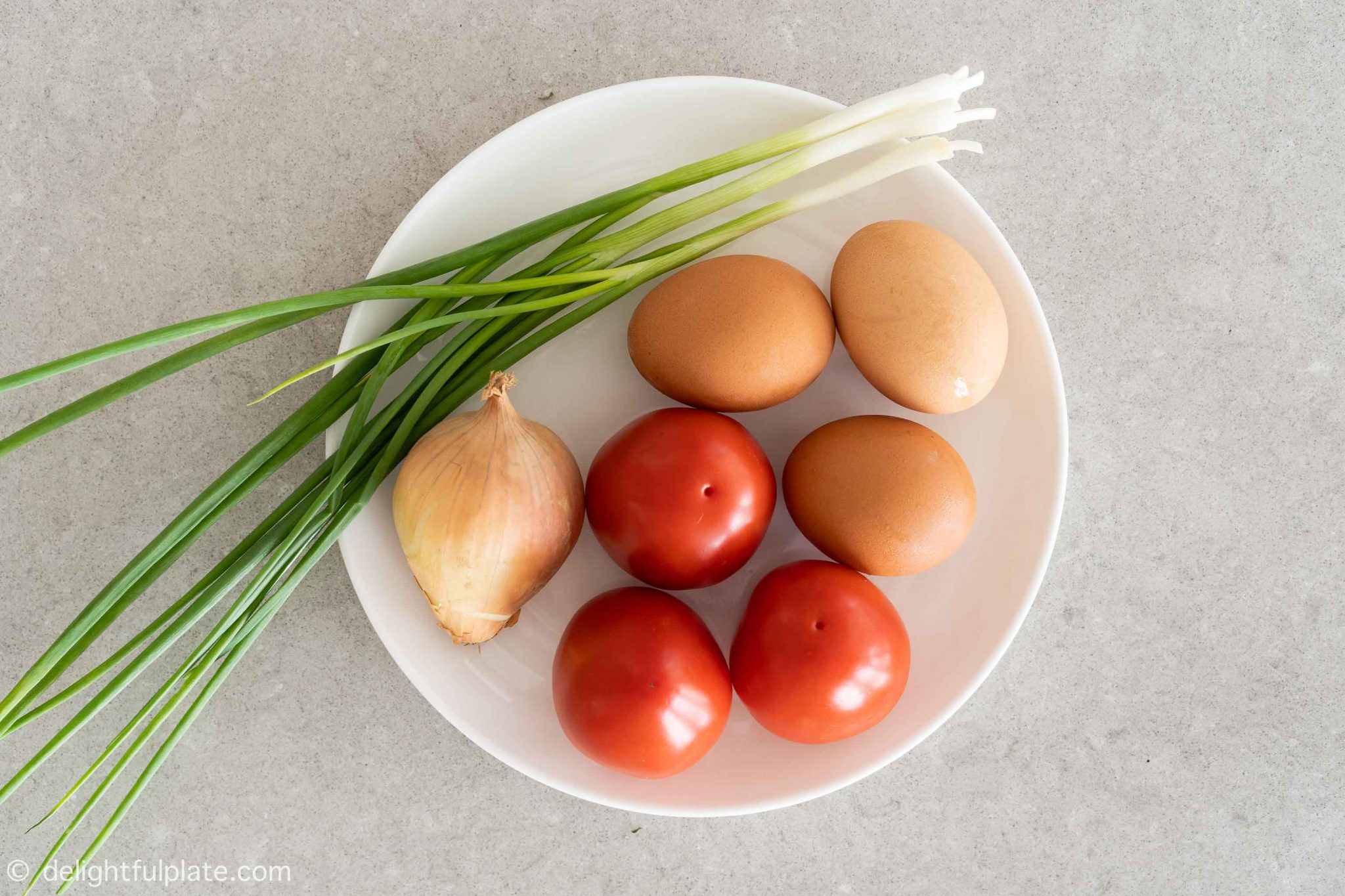 Vietnamese Omelet with Tomatoes and Onions Delightful Plate
