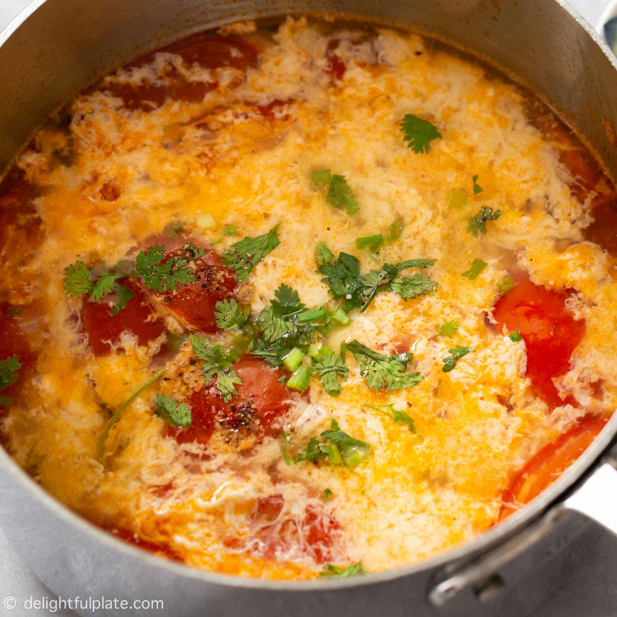 Tomato Egg Drop Soup Delightful Plate