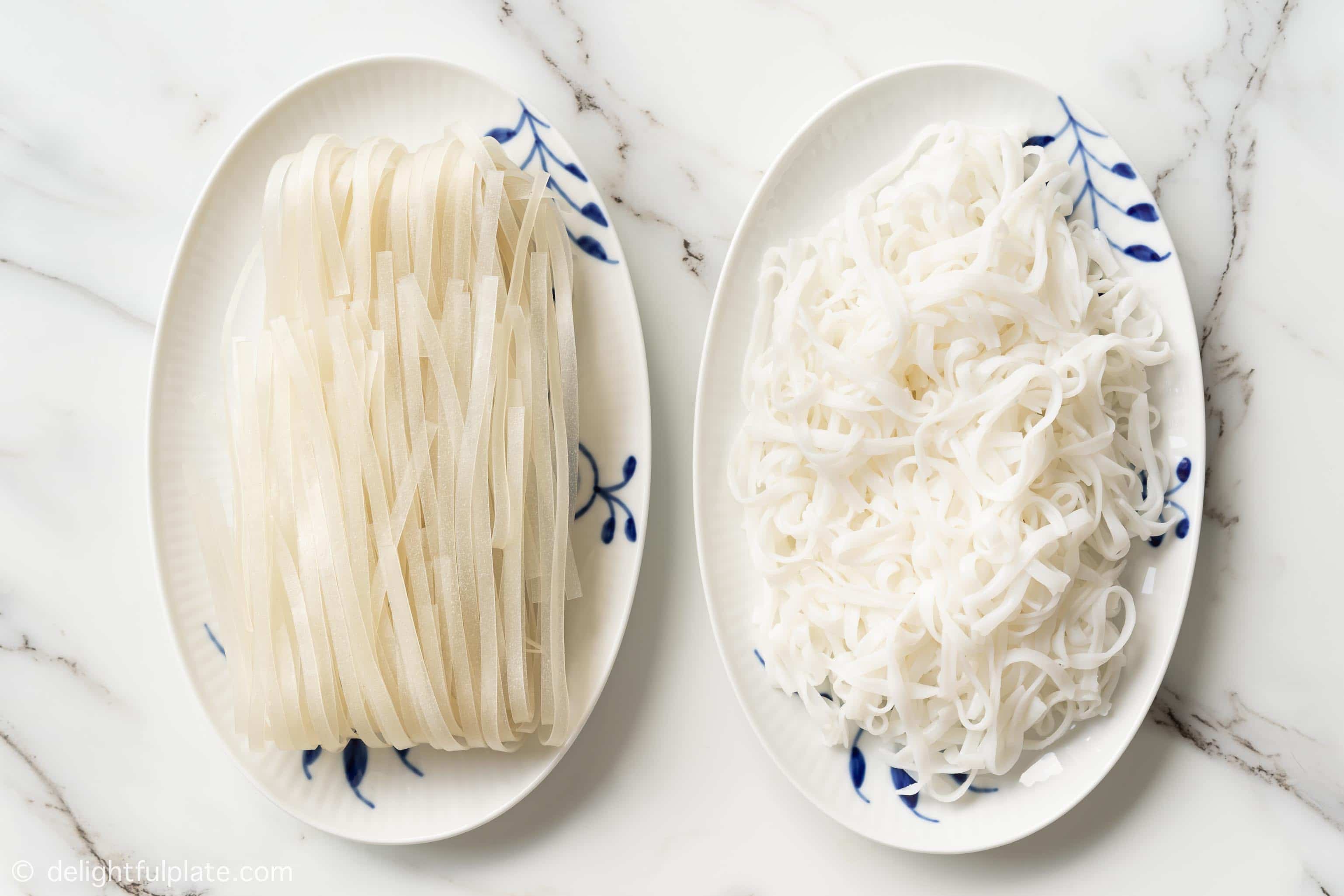 Dos platos con fideos de arroz secos y fideos de arroz frescos