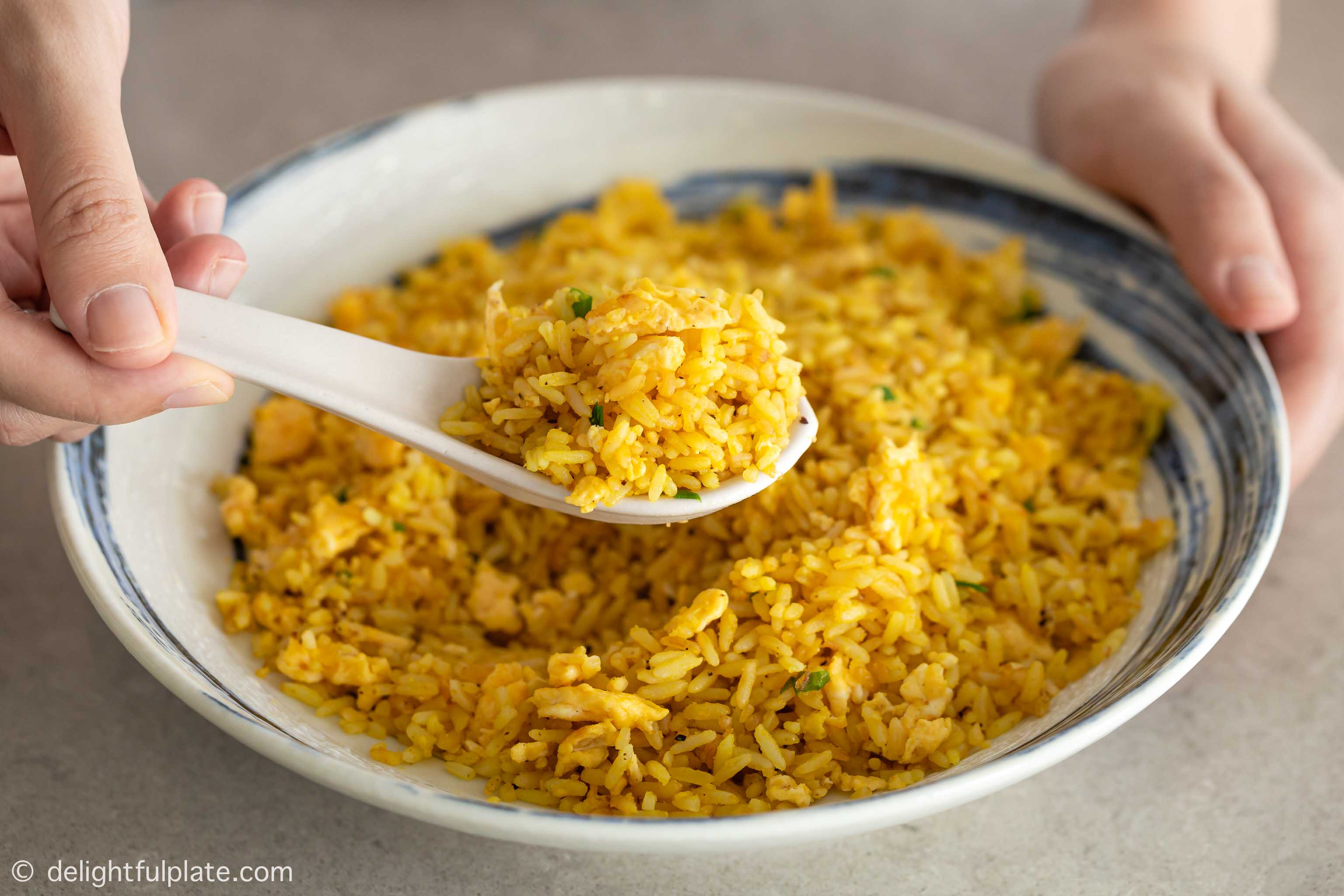 a plate of salted egg fried rice