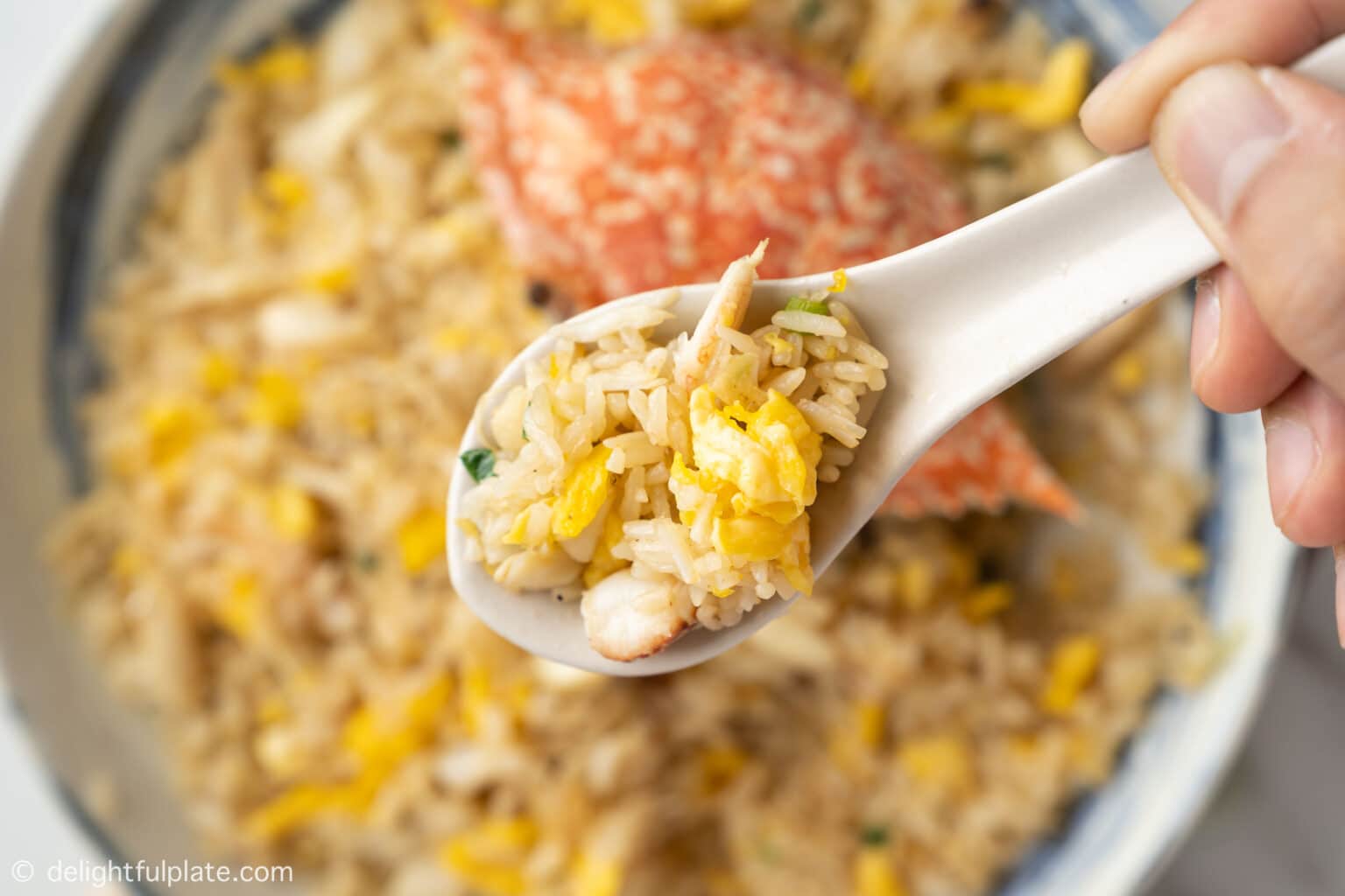 Crab Fried Rice Delightful Plate