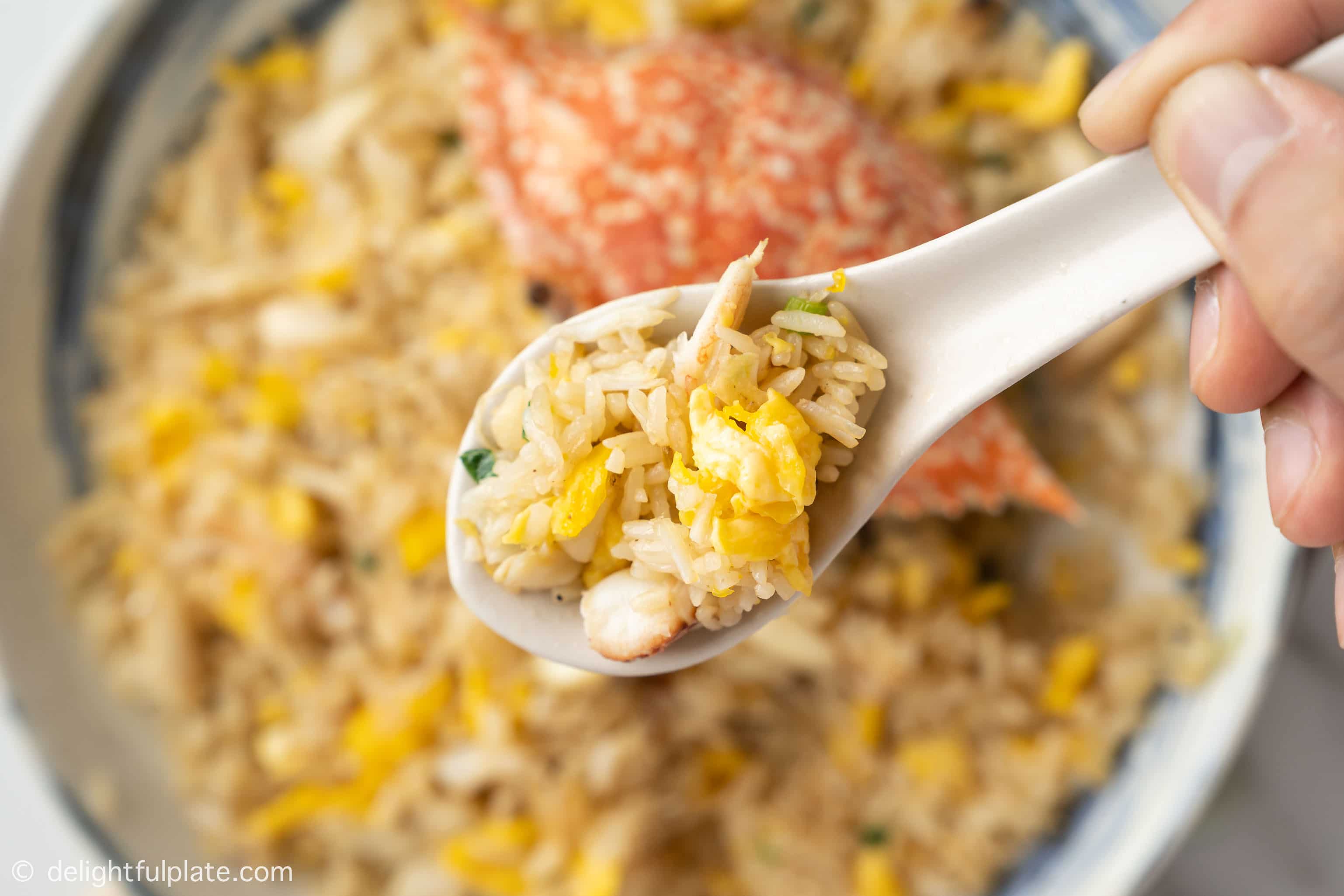 a spoon with crab fried rice