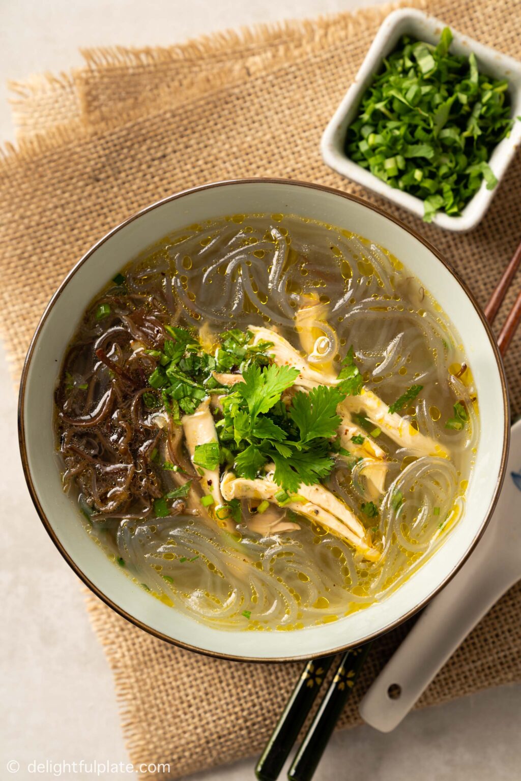 Chicken Glass Noodle Soup (Mien Ga) Delightful Plate