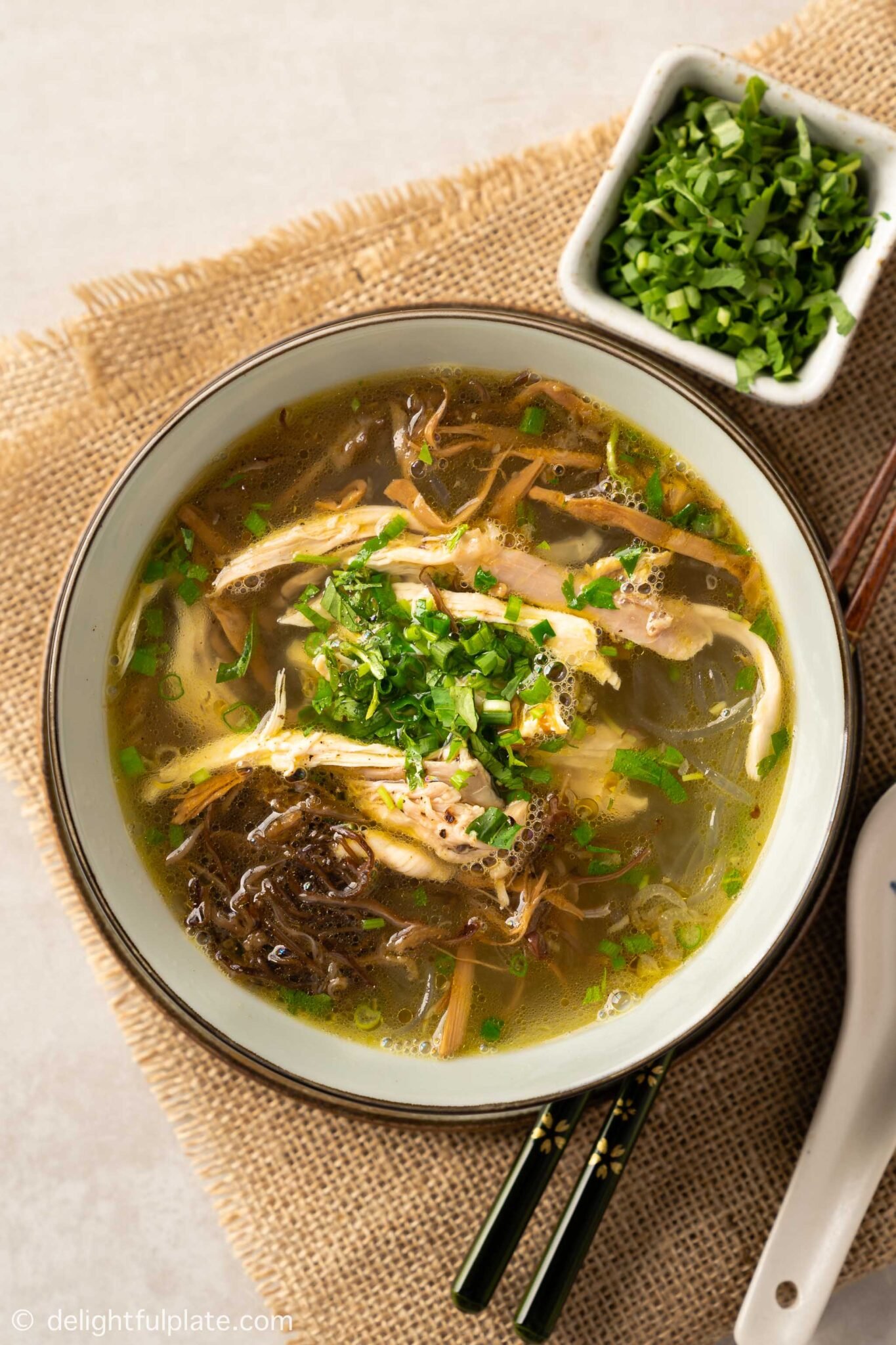 Chicken Glass Noodle Soup (Mien Ga) - Delightful Plate