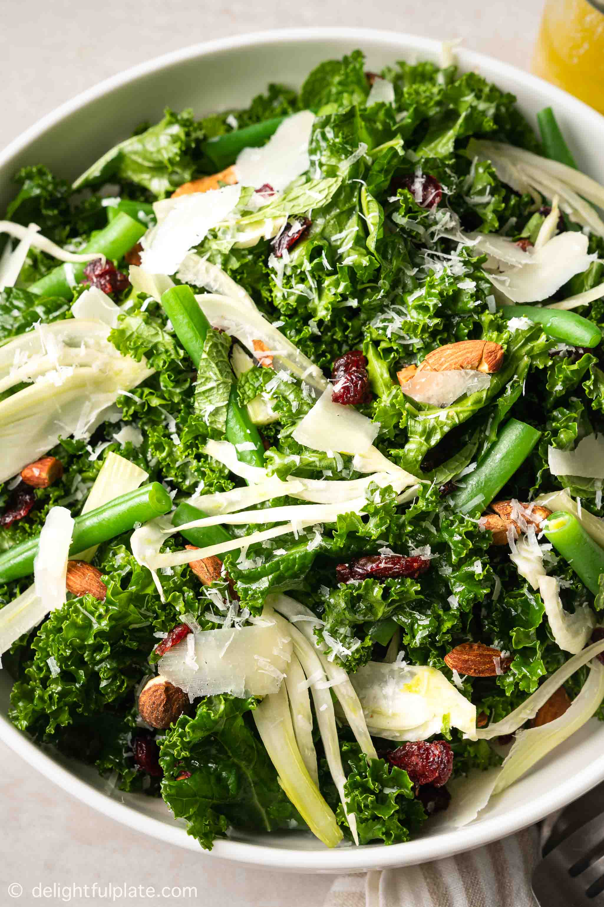 a plate of kale and fennel salad with almond and cranberry