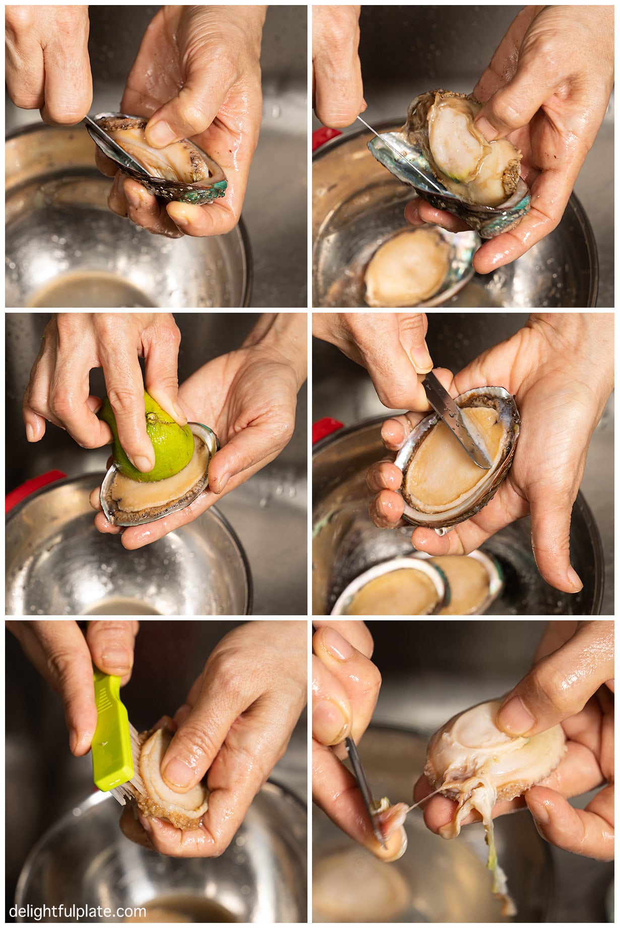 a collage of steps to prepare and clean abalones