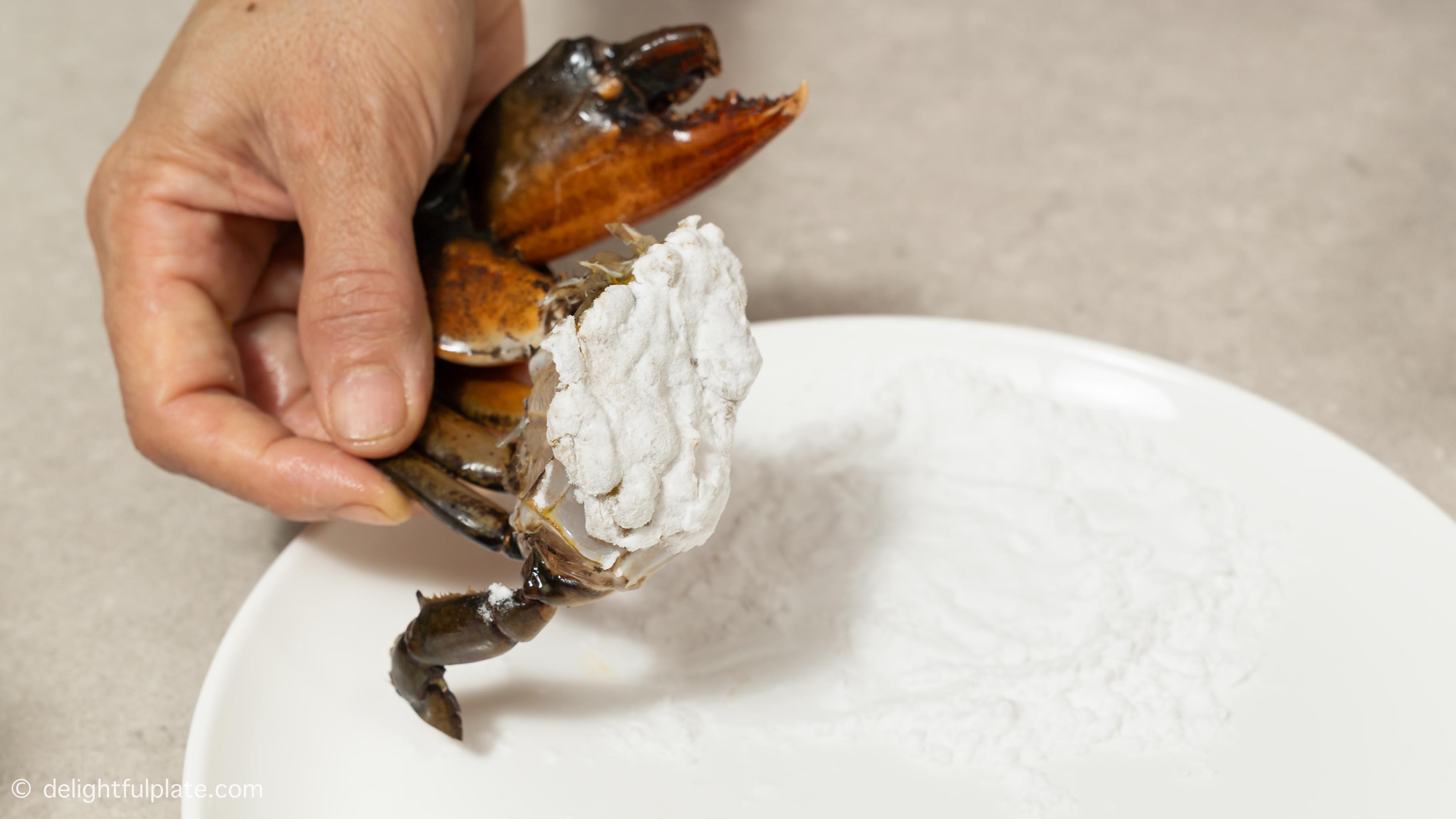 Coating a crab piece with cornstarch.