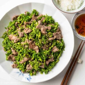 a plate of Vietnamese stir-fried beef and tonkin flowers (thit bo xao hoa thien ly) with a bowl of rice.